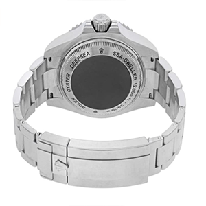 Rolex 116660 luxurious watch